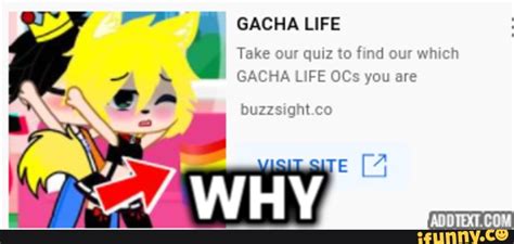buzzsight-3|You!.